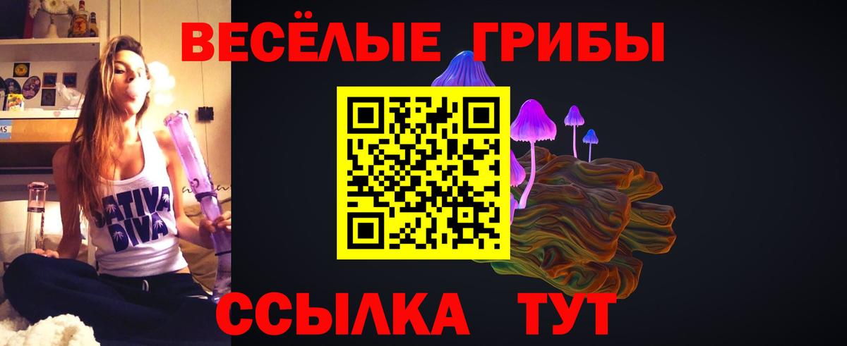 Котлас  где купить наркоту  Вход с VPN  Галлюциногенные грибы Magic Shrooms 